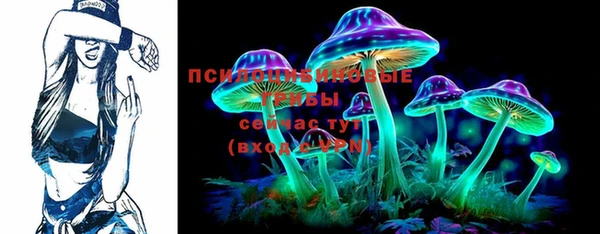 ешки Аркадак