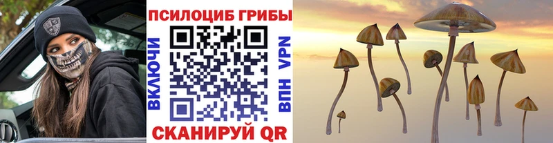 Псилоцибиновые грибы прущие грибы  Мглин 